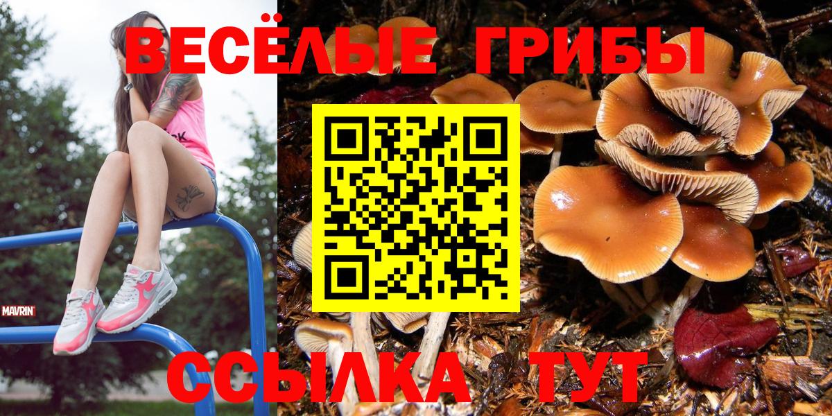 Галлюциногенные грибы мухоморы  Вход с VPN  Химки 