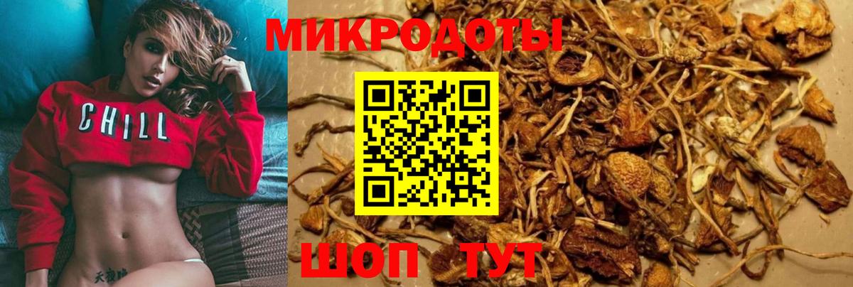Псилоцибиновые грибы Psilocybine cubensis Химки